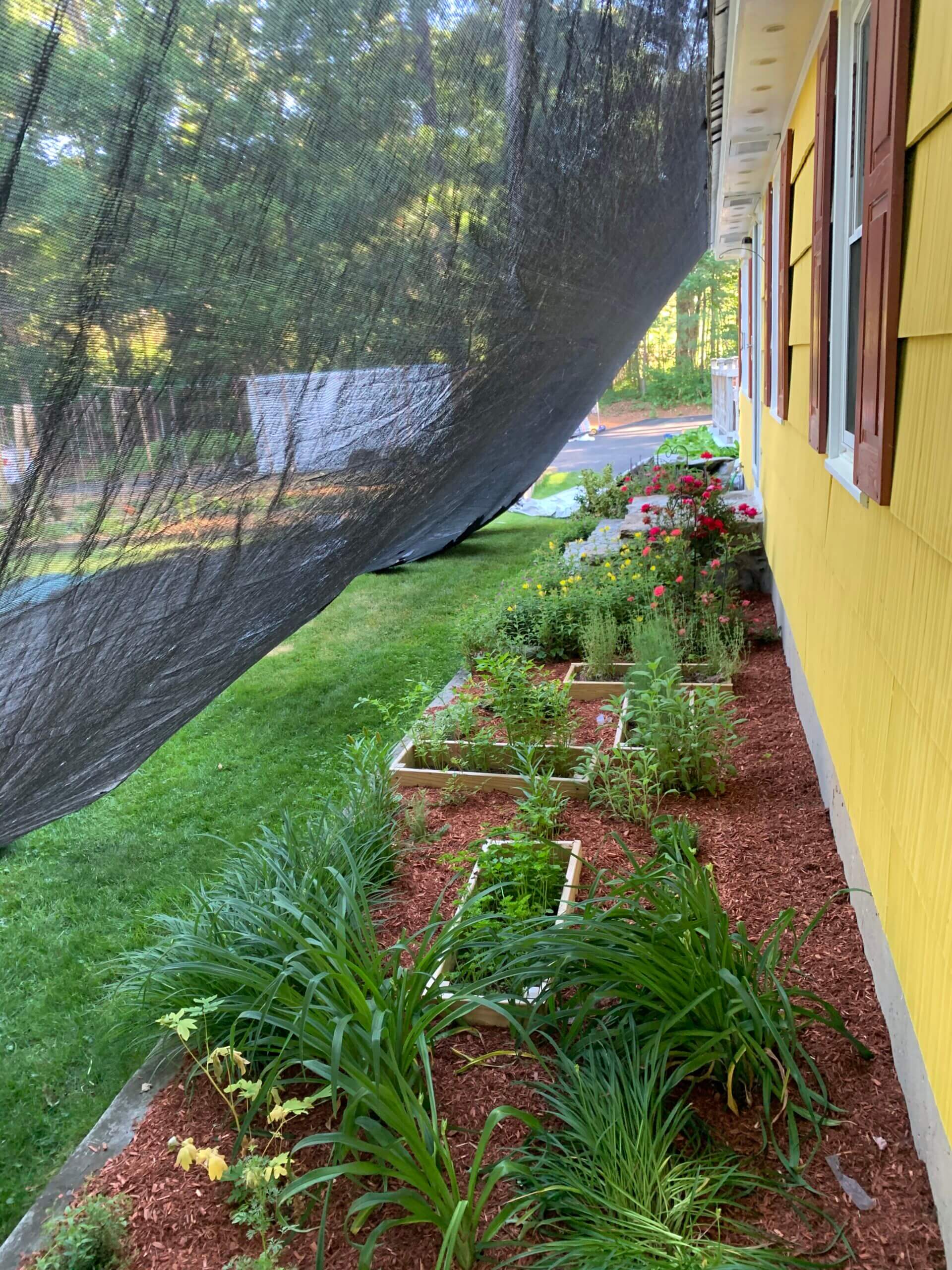 North Grafton Project Shingle Roof Altitude Roofing